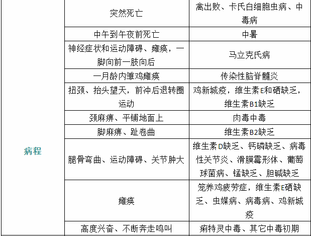 家禽疾病癥狀22