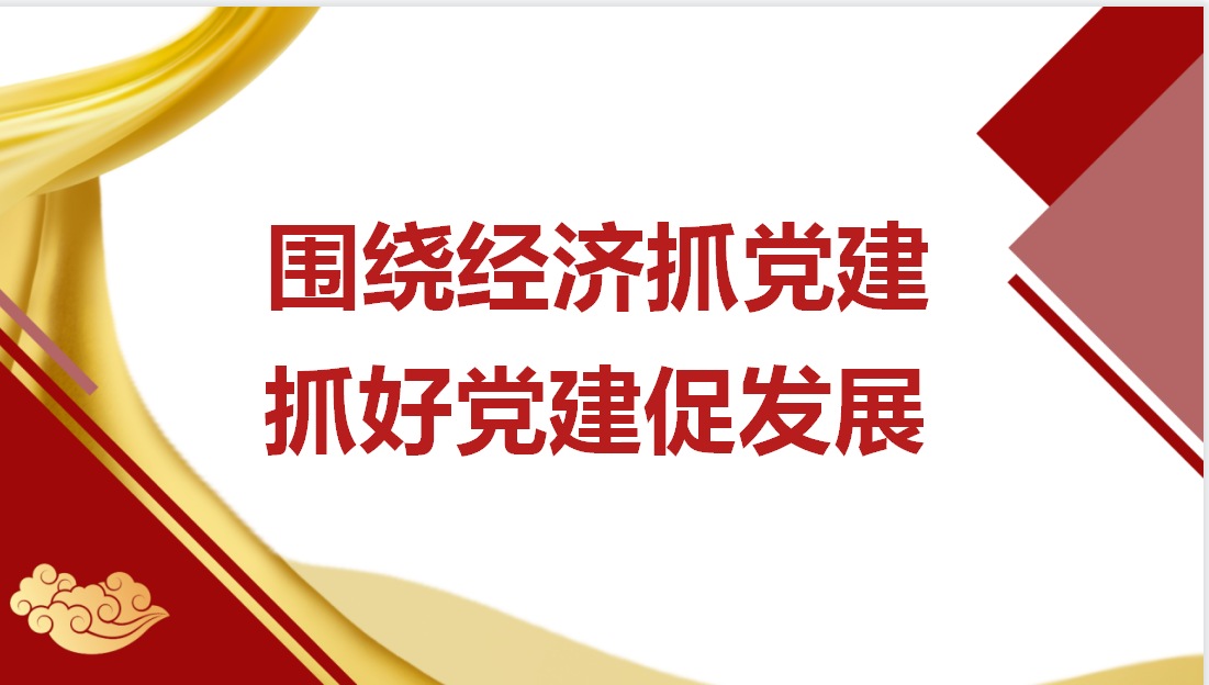 圍繞經(jīng)濟(jì)抓黨建  抓好黨建促發(fā)展-上海明磊邦森黨建活動(dòng)