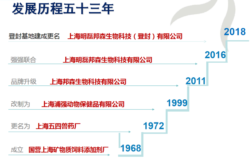 公司發(fā)展歷程